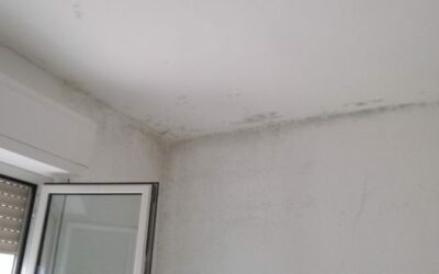 Quando il condominio non risponde dei danni arrecati al singolo appartamento