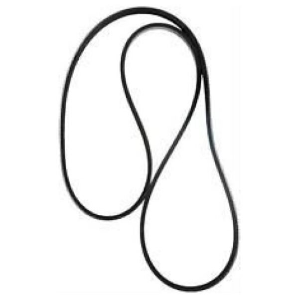 Cinghia poly v 790 j 12 per betoniera 250/300/350 polieri silenziata
