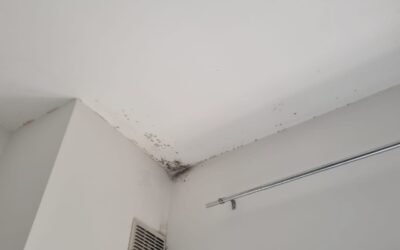 Muffa sulle pareti a fine inverno: cause, rimedi definitivi e come prevenirla